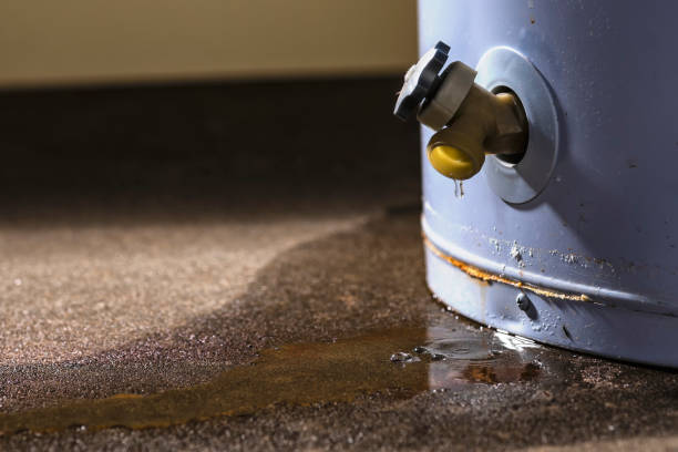 Best Carpet water damage restoration  in West Point, NE