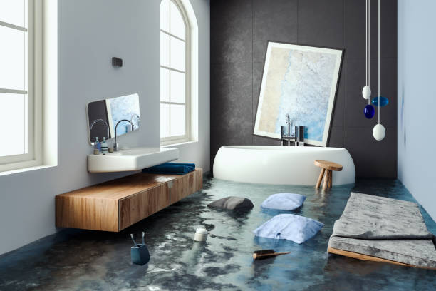 Water damage restoration mold remediation in NE
