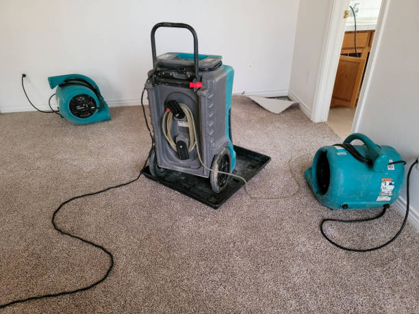 Best Water damage restoration insurance claims  in West Point, NE
