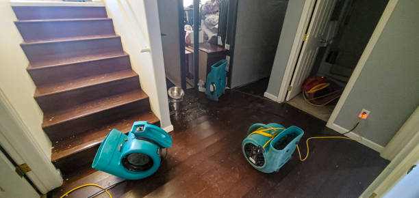 Best Flood damage cleanup  in West Point, NE
