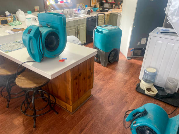 Best Water damage repair service  in West Point, NE