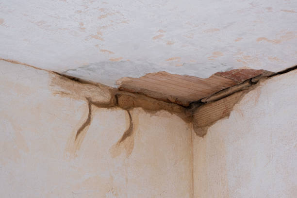 Best 24-hour water damage restoration  in West Point, NE