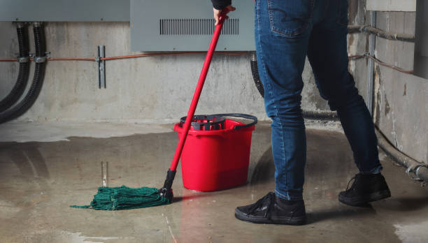 Best Residential water damage restoration  in West Point, NE