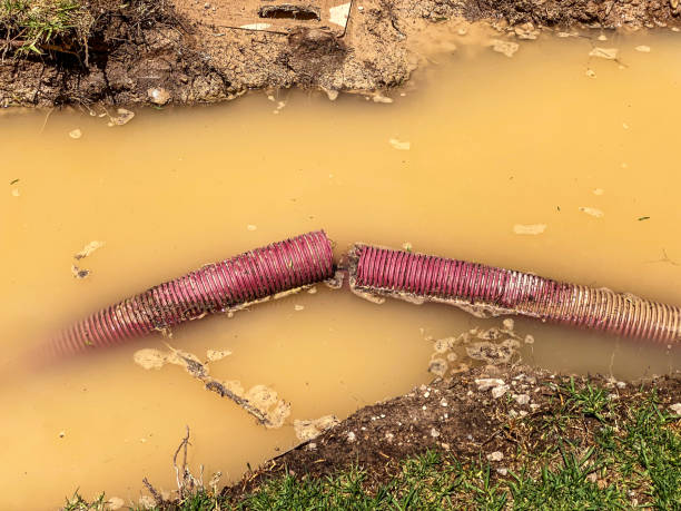  West Point, NE Water damage restoration Pros