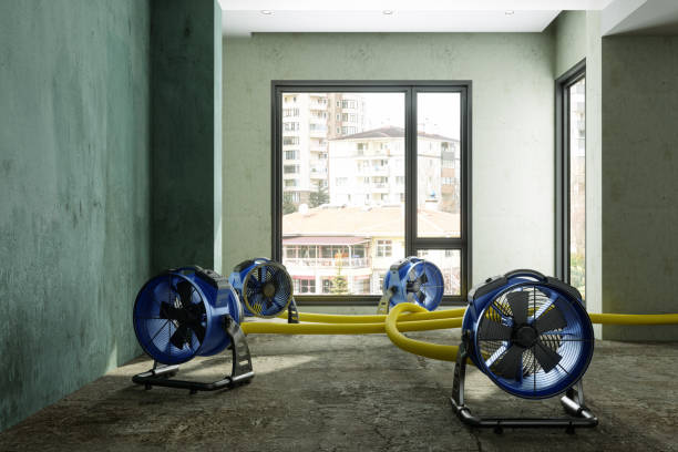 Best Water damage contractors near me  in West Point, NE
