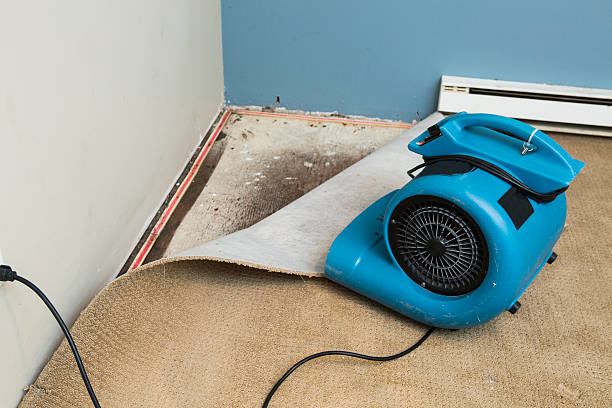 Best Sewage cleanup and water damage restoration  in West Point, NE